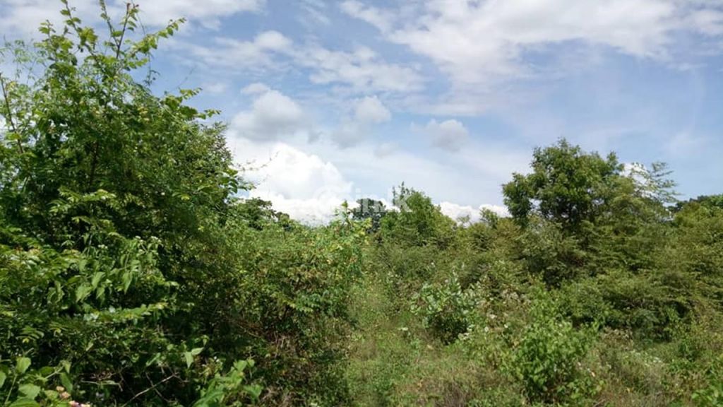 10 acre land for sale in Tangalla