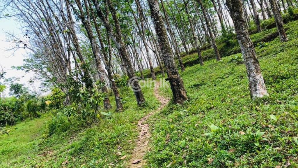 3 Acre Land For Sale In Mathugama