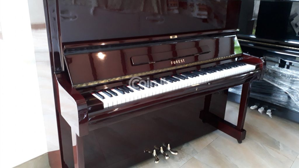 Forest branded and imported high quality piano